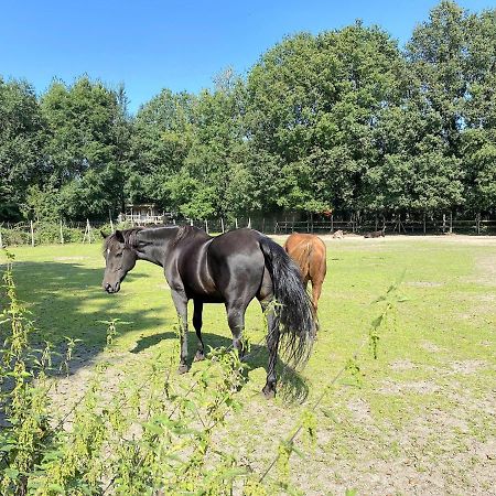 Pipowagen Het Oventje Villa Zeeland Kültér fotó