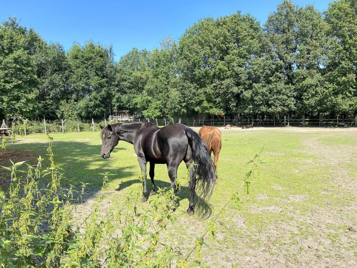 Pipowagen Het Oventje Villa Zeeland Kültér fotó