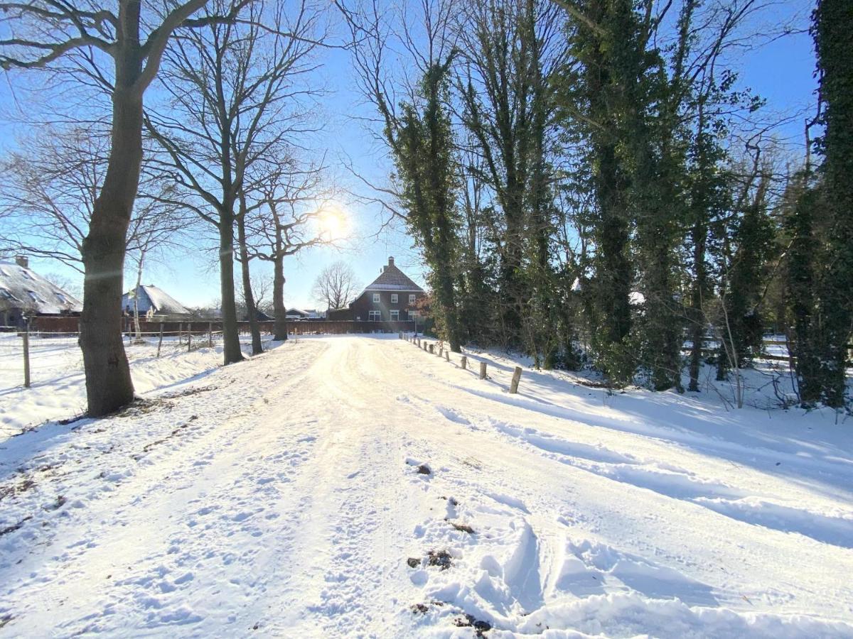 Pipowagen Het Oventje Villa Zeeland Kültér fotó